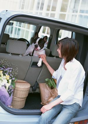 愛知県で人気の軽自動車！お得な在庫情報や燃費の良さを徹底解説！
